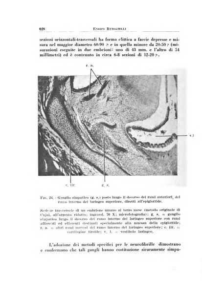 Archivio italiano di otologia, rinologia e laringologia