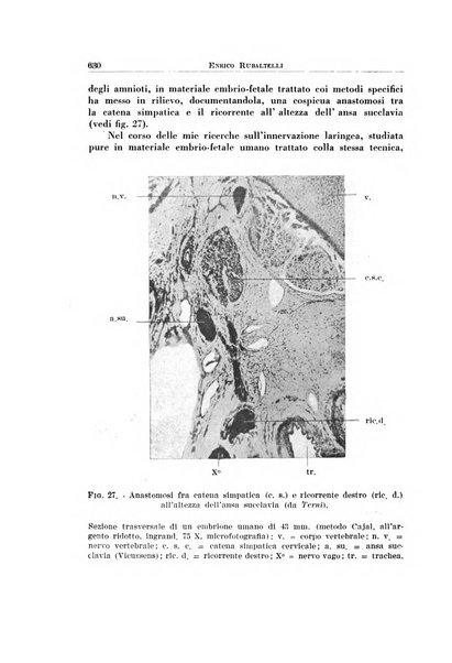 Archivio italiano di otologia, rinologia e laringologia