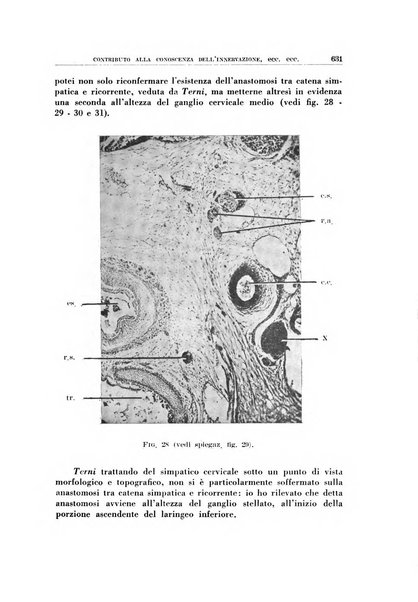 Archivio italiano di otologia, rinologia e laringologia