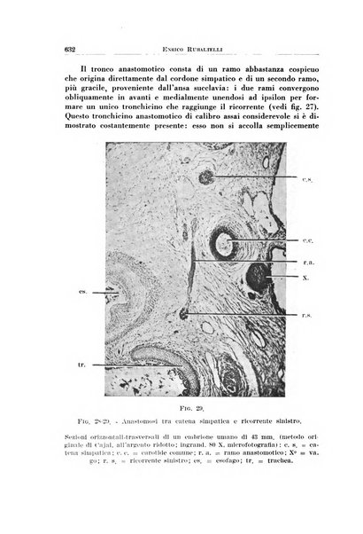 Archivio italiano di otologia, rinologia e laringologia