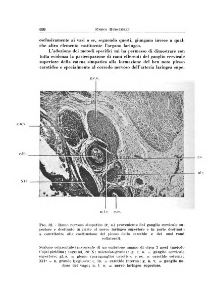 Archivio italiano di otologia, rinologia e laringologia