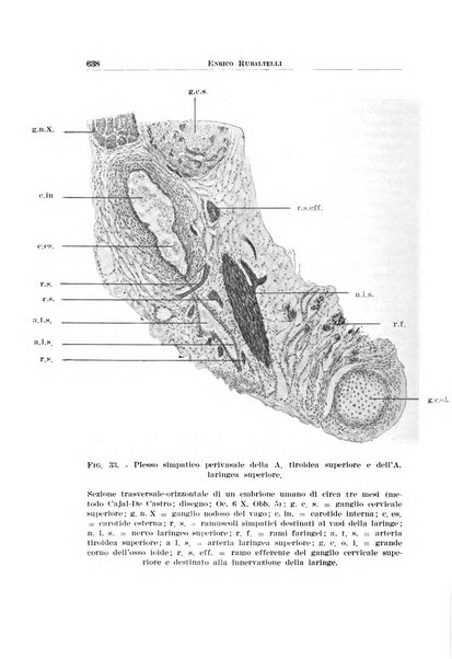 Archivio italiano di otologia, rinologia e laringologia