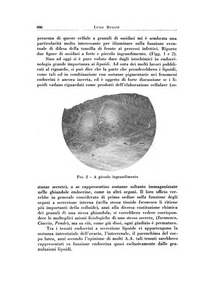 Archivio italiano di otologia, rinologia e laringologia