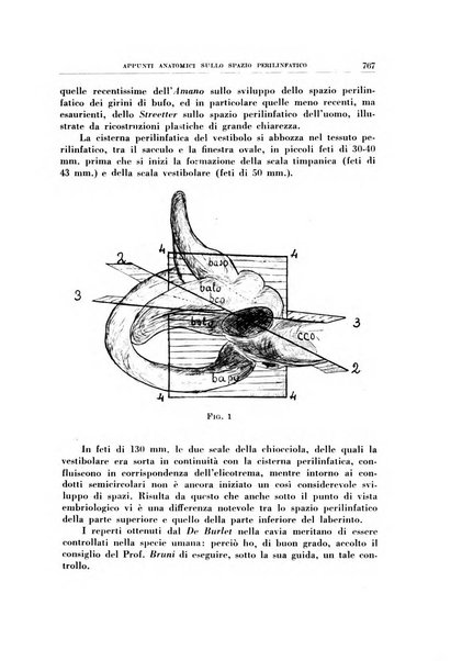 Archivio italiano di otologia, rinologia e laringologia