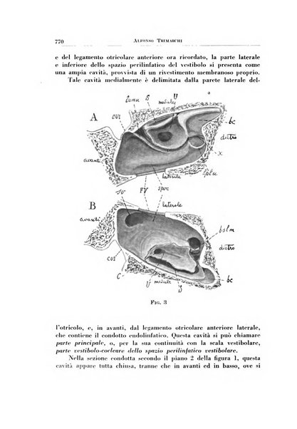 Archivio italiano di otologia, rinologia e laringologia