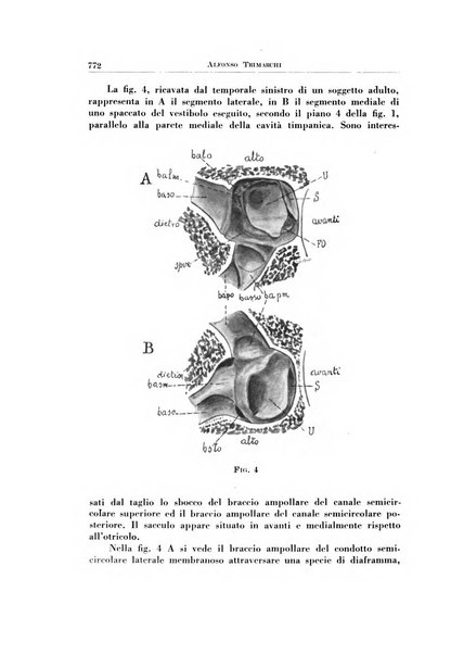 Archivio italiano di otologia, rinologia e laringologia