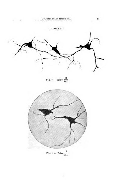 Archivio italiano di otologia, rinologia e laringologia