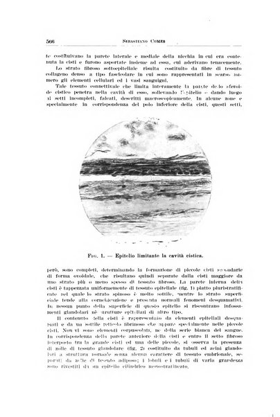 Archivio italiano di otologia, rinologia e laringologia