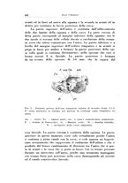 giornale/TO00176880/1935/unico/00000494