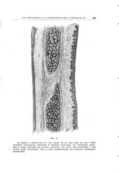 Archivio italiano di otologia, rinologia e laringologia