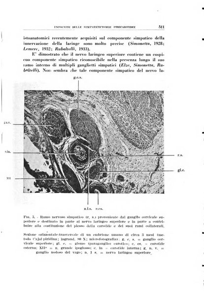 Archivio italiano di otologia, rinologia e laringologia