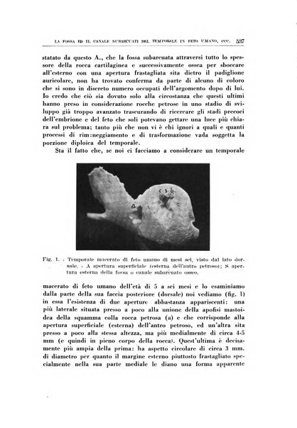 Archivio italiano di otologia, rinologia e laringologia