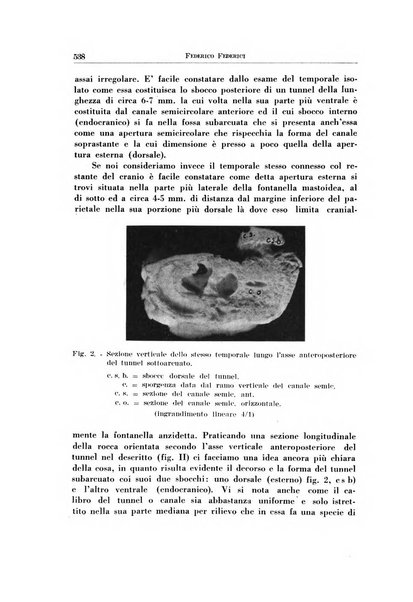 Archivio italiano di otologia, rinologia e laringologia