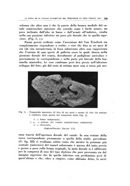 Archivio italiano di otologia, rinologia e laringologia