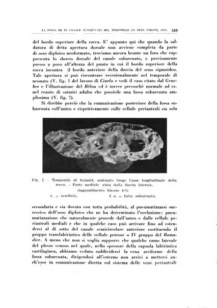 Archivio italiano di otologia, rinologia e laringologia