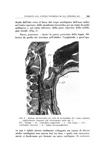 Archivio italiano di otologia, rinologia e laringologia