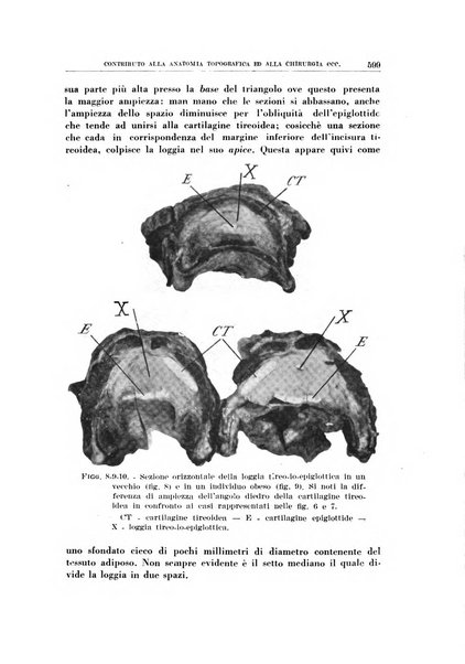 Archivio italiano di otologia, rinologia e laringologia