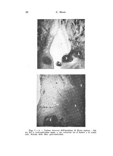 Archivio italiano di studi neuropsichiatrici sull'encefalite e l'epilessia