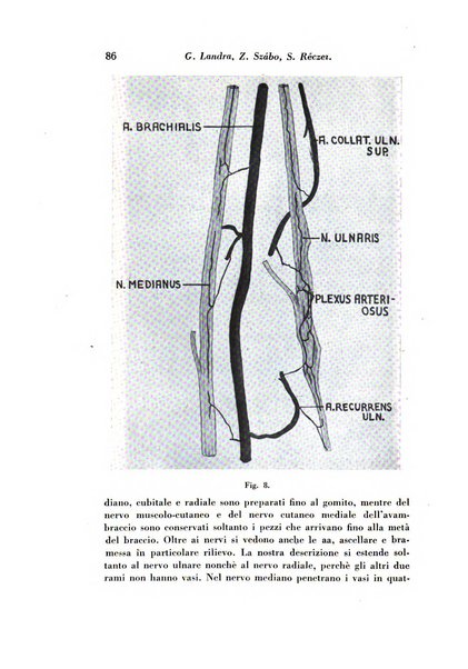 Archivio italiano di studi neuropsichiatrici sull'encefalite e l'epilessia