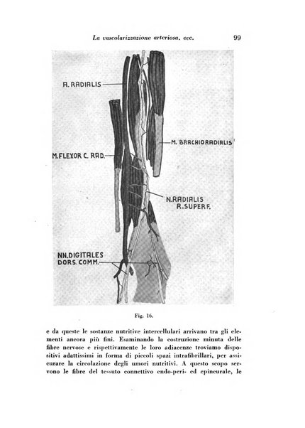 Archivio italiano di studi neuropsichiatrici sull'encefalite e l'epilessia