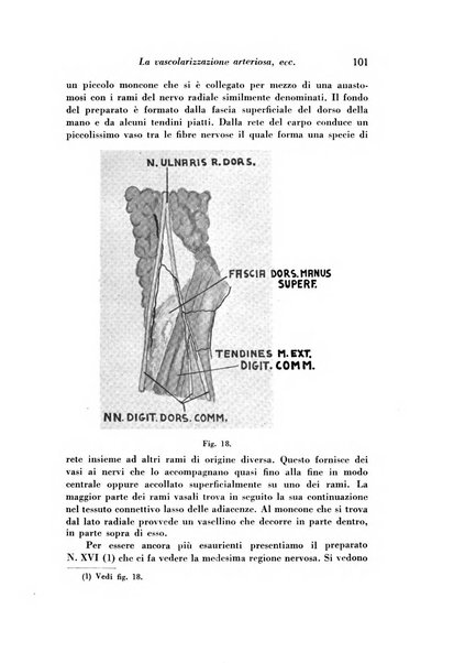 Archivio italiano di studi neuropsichiatrici sull'encefalite e l'epilessia