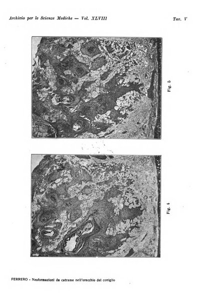 Archivio per le scienze mediche