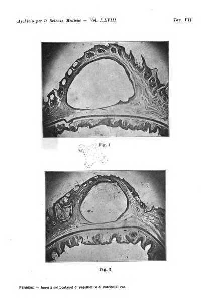 Archivio per le scienze mediche