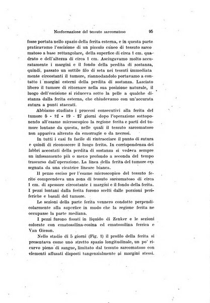 Archivio per le scienze mediche