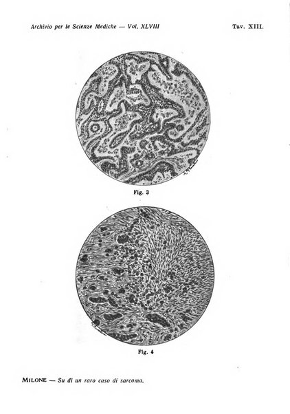 Archivio per le scienze mediche