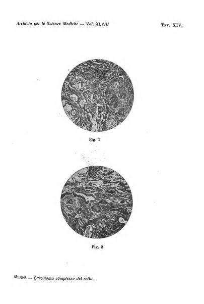 Archivio per le scienze mediche