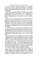 giornale/TO00176894/1881-1882/unico/00000029