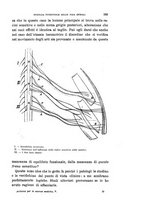 giornale/TO00176894/1881-1882/unico/00000329