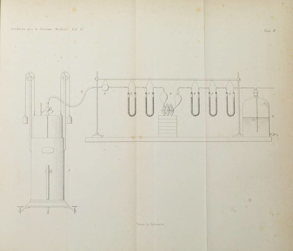 Archivio per le scienze mediche