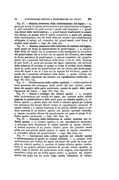 Archivio per le scienze mediche