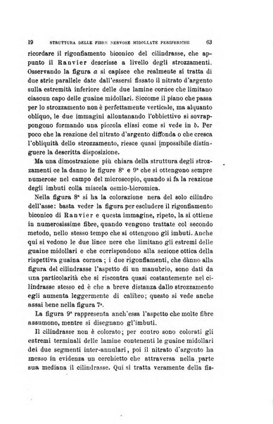 Archivio per le scienze mediche