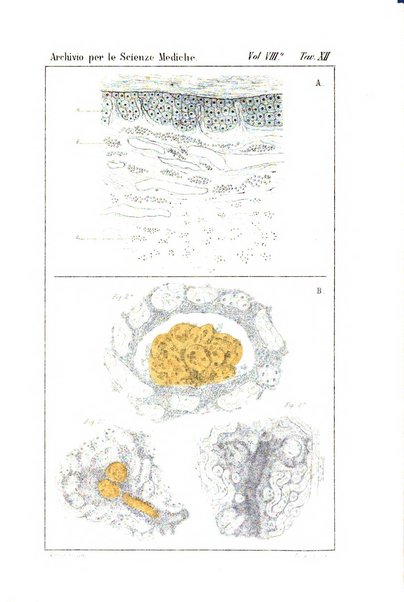 Archivio per le scienze mediche