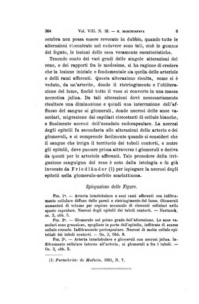 Archivio per le scienze mediche