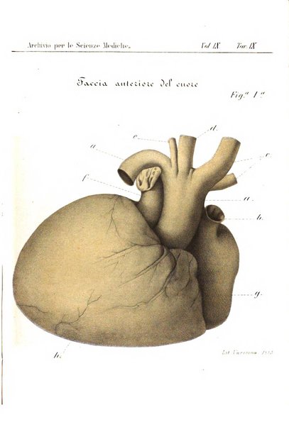 Archivio per le scienze mediche