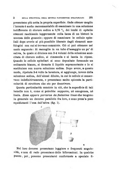 Archivio per le scienze mediche