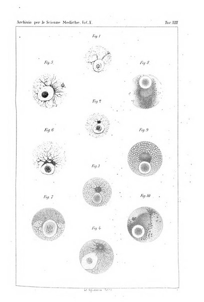 Archivio per le scienze mediche