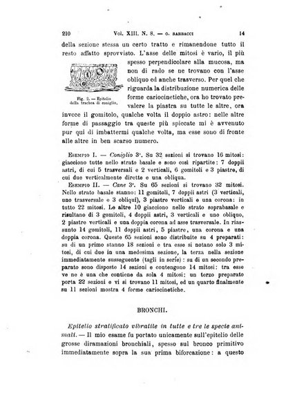 Archivio per le scienze mediche