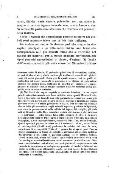 Archivio per le scienze mediche