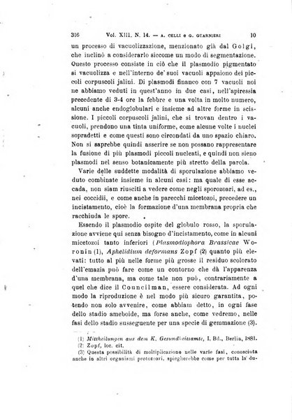 Archivio per le scienze mediche