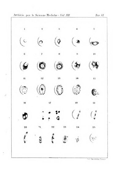 Archivio per le scienze mediche