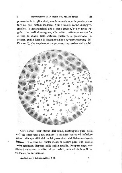 Archivio per le scienze mediche