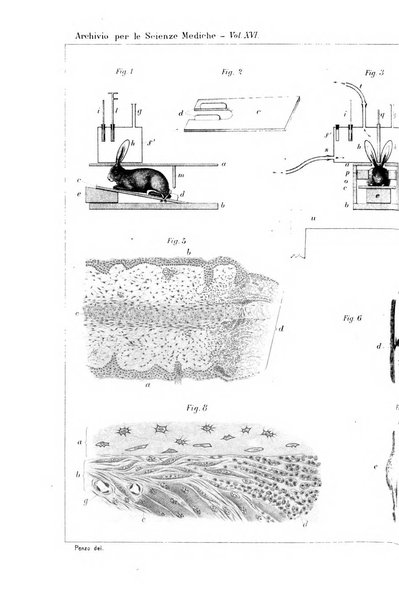 Archivio per le scienze mediche