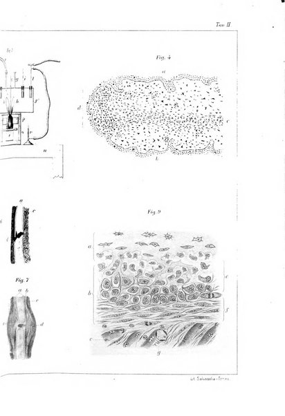 Archivio per le scienze mediche