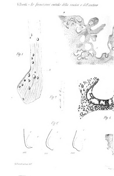 Archivio per le scienze mediche