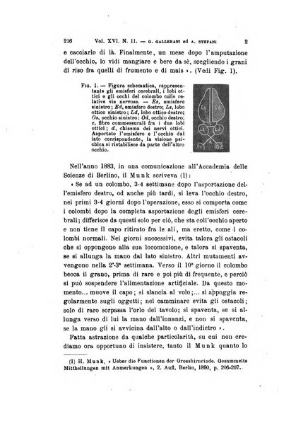 Archivio per le scienze mediche