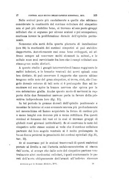 Archivio per le scienze mediche